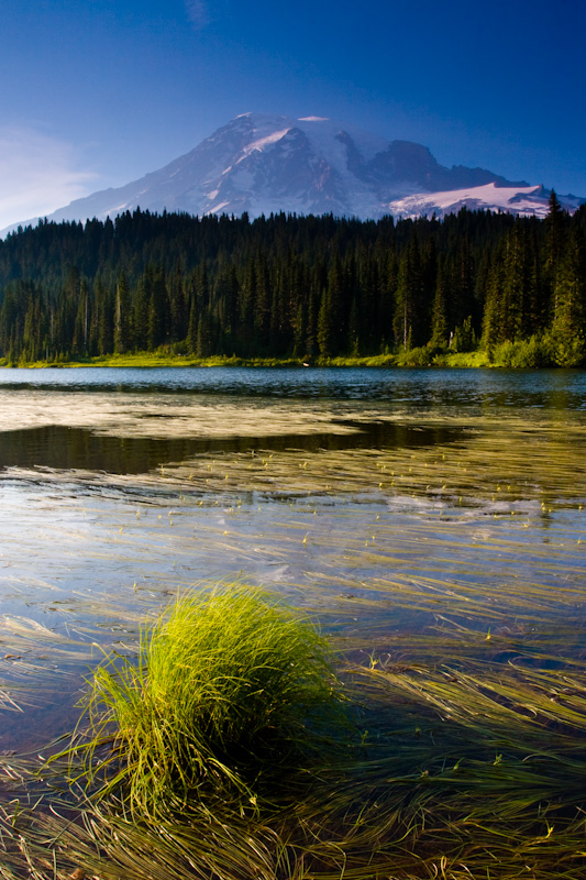 Mount Rainier Above Reflection Lake